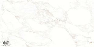 Керамогранит NT Ceramic Marmo Marble Extra Endless Mat арт. NTT99526M (60x120) матовый